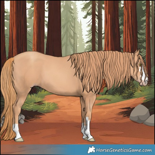 Horse Color:Gold Champagne