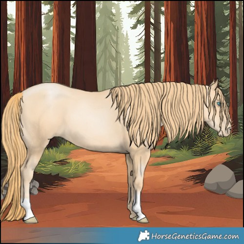 Horse Color:Gold Champagne Pearl
