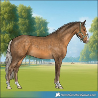 Horse Color:Chocolate Palomino