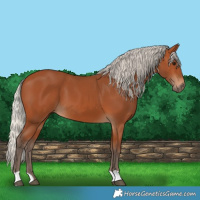 Horse Color:Silver Bay