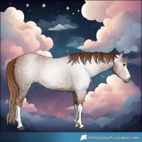 Horse Color:Gray Red Roan Splash 