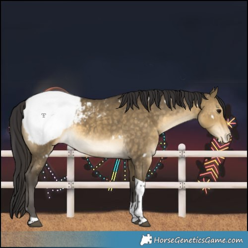 Horse Color:White Spotted Buckskin Dun Tobiano Snowcap Rabicano 