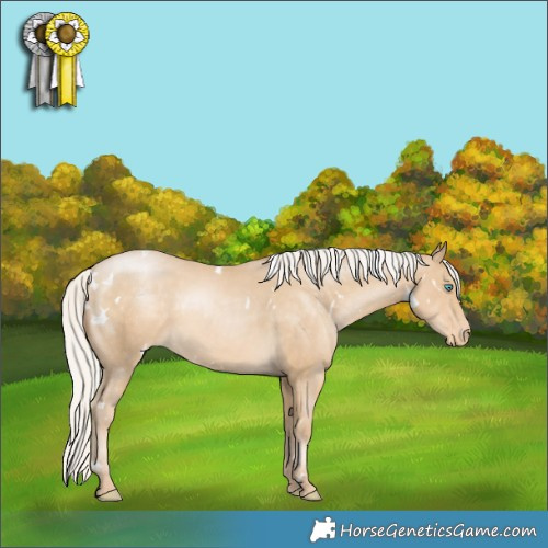Horse Color:White Spotted Silver Smoky Black Pearl Appaloosa