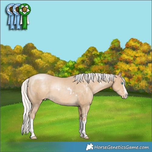Horse Color:White Spotted Silver Smoky Black Pearl Splash Appaloosa