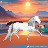 Horse Color:Cremello Near Leopard