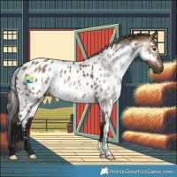 Horse Color:Gray Bay Dun Skewed LP Spotted