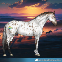 Horse Color:Gray Bay Dun Skewed LP Spotted 