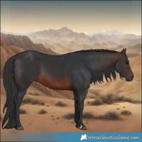 Horse Color:Brown 
