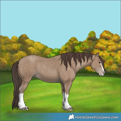 Horse Color:Classic Champagne Splash 