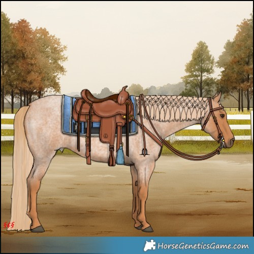 Horse Color:Red Roan 