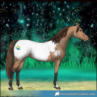 Horse Color:Bay Dun Snowcap
