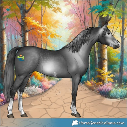 Horse Color:Gray Black Sabino 