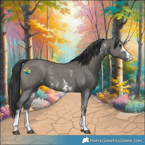 Horse Color:Grullo Sabino 