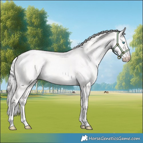 Horse Color:Cremello Dun