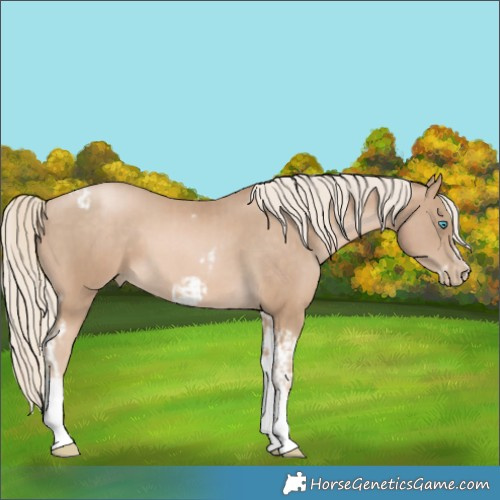 Horse Color:Chocolate Palomino Pearl Tobiano Frame  and Chocolate Palomino Pearl Splash Tobiano Frame 