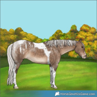 Horse Color:Powder White Silver Brown Dun Tobiano
