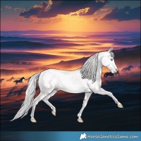 Horse Color:Cremello Dun 