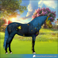 Horse Color:ERROR: UNKNOWN ANOMALY