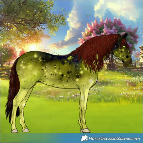 Horse Color:ERROR: UNKNOWN ANOMALY