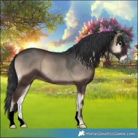 Horse Color:Blue Onyx 