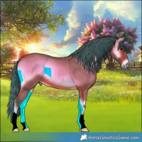 Horse Color:Watercolor Bay Onyx
