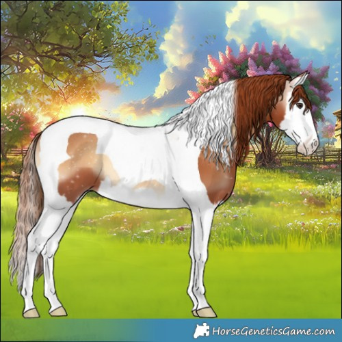 Horse Color:Red Onyx Splash Tobiano