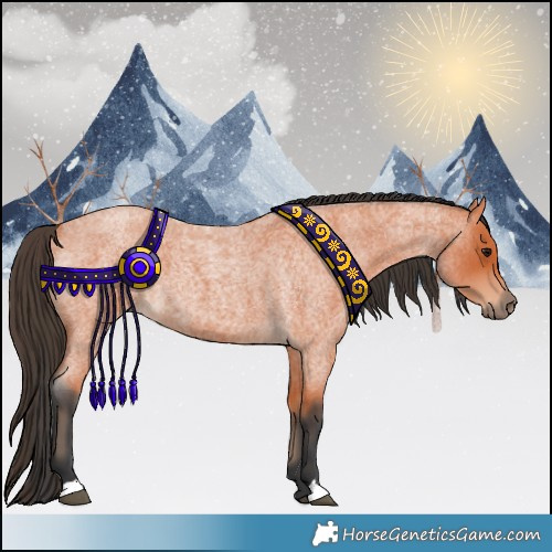 Horse Color:Bay Roan 