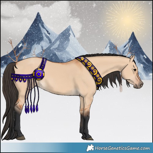 Horse Color:Bay Dun 