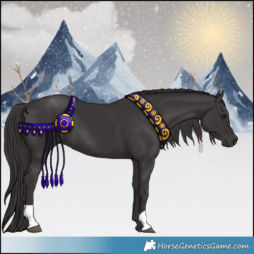Horse Color:Smoky Black