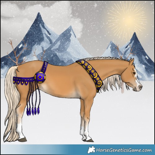 Horse Color:Palomino 