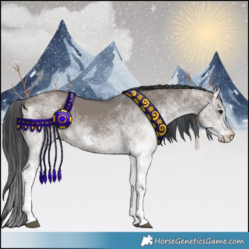 Horse Color:White Spotted Grullo 