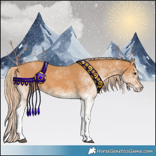 Horse Color:White Spotted Chestnut 
