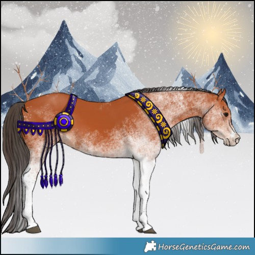 Horse Color:White Spotted Bay 