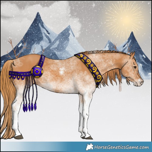 Horse Color:White Spotted Chestnut