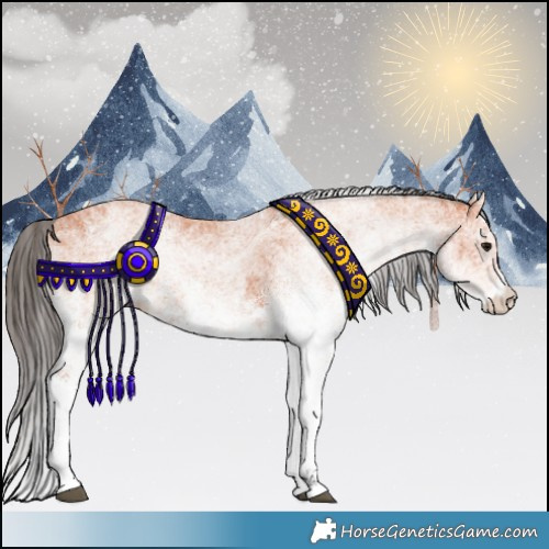 Horse Color:White Spotted Bay