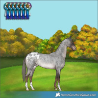 Horse Color:Liver Red Roan Mushroom Varnish Rabicano 