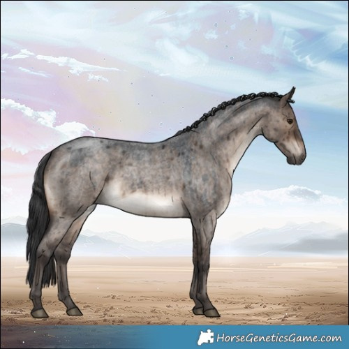 Horse Color:Brown Roan Dun Rabicano Brindle