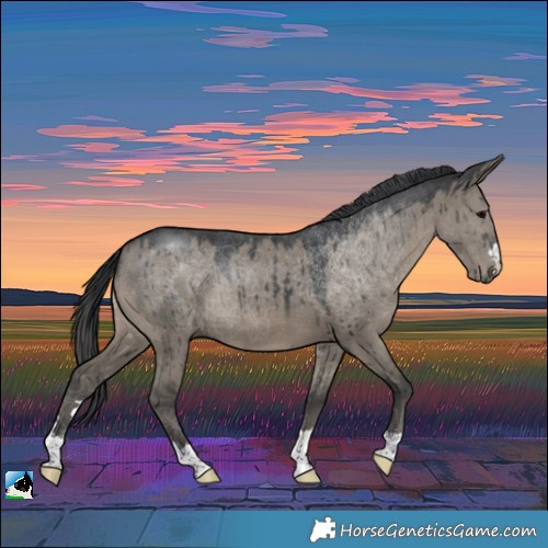 Horse Color:Grullo Brindle 