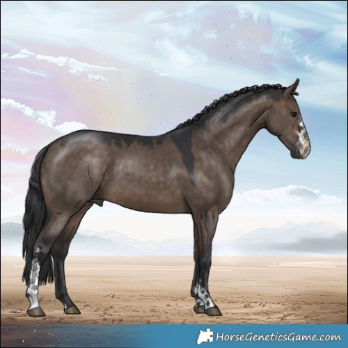 Horse Color:Brown Dun Sabino 