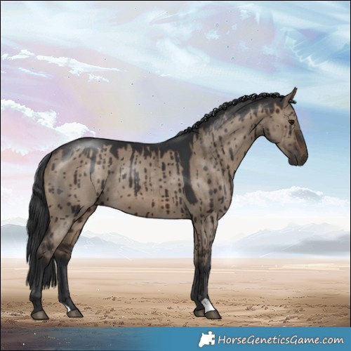 Horse Color:Brown Dun Brindle
