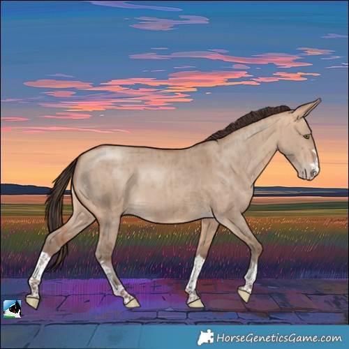 Horse Color:Amber Champagne Dun Rabicano Brindle 
