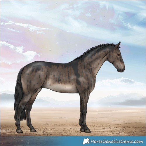 Horse Color:Brown Dun Rabicano Brindle