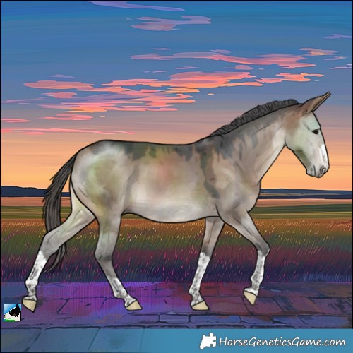 Horse Color:Brown Dun Merle 