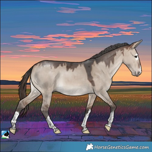 Horse Color:Brown Dun Merle 
