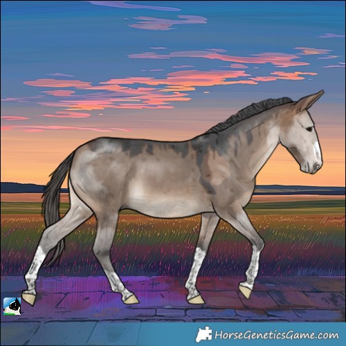 Horse Color:Brown Dun Merle 