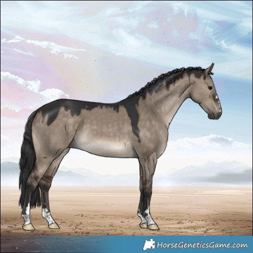 Horse Color:Brown Dun