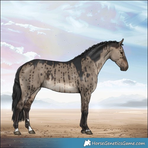 Horse Color:Brown Dun Brindle 