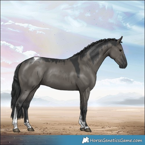 Horse Color:Grullo Tobiano Rabicano