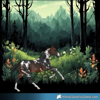 Horse Color:White Spotted Bay
