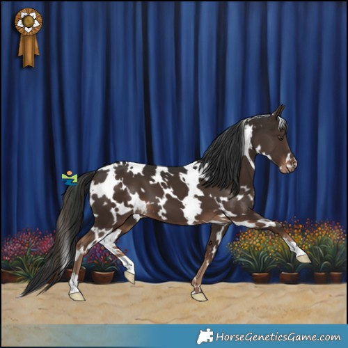 Horse Color:White Spotted Liver Chestnut